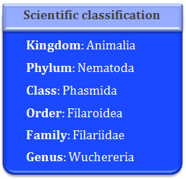 Kingdom, Animalia, Phylum, Nematoda, Class, Phasmida, Order, FIlaroidea, Family, FIlariidae, Genus, Wuchereria